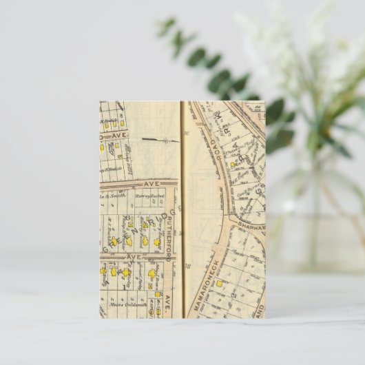 Carte Postale 36-37 Plaines blanches (Debout devant)