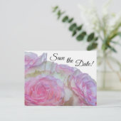 Carte Postale 3998-Roses blanches et roses (Debout devant)