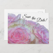 Carte Postale 3998-Roses blanches et roses (Devant / Derrière)