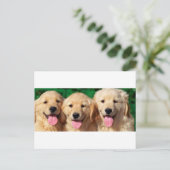 Carte Postale 3 Amigos (Debout devant)