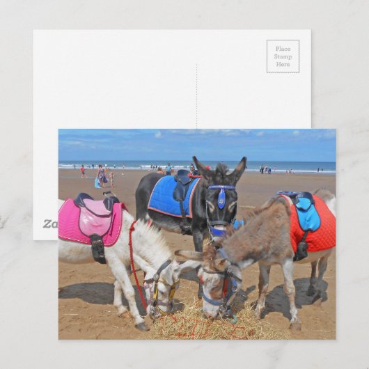 Carte Postale 3 ânes (Devant / Derrière)