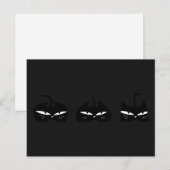 Carte Postale 3 Chats noirs la nuit (Devant / Derrière)