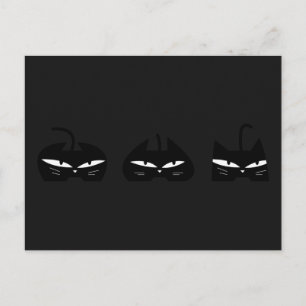 Carte Postale 3 Chats noirs la nuit