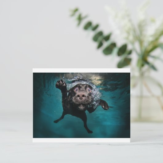 Carte Postale 3.jpeg (Debout devant)