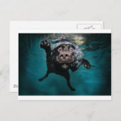 Carte Postale 3.jpeg (Devant / Derrière)