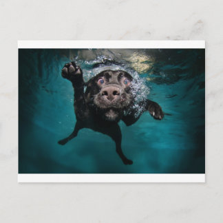 Carte Postale 3.jpeg