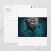 Carte Postale 3.jpeg (Devant / Derrière)