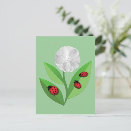 Carte Postale 3 Ladybugs (Debout devant)