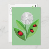 Carte Postale 3 Ladybugs (Devant / Derrière)