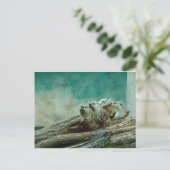 Carte Postale 3 loutres drôles dans un bel arrière - plan de cou (Debout devant)