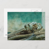 Carte Postale 3 loutres drôles dans un bel arrière - plan de cou (Devant / Derrière)