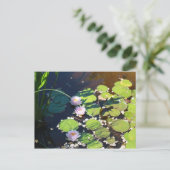 Carte Postale 3 Lys (Debout devant)