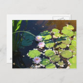 Carte Postale 3 Lys (Devant / Derrière)