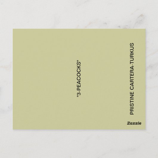 CARTE POSTALE 3 PEACOCKS (Dos)