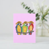 Carte Postale 3 perroquets (Debout devant)