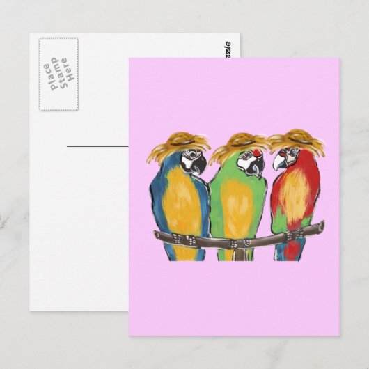 Carte Postale 3 perroquets (Devant / Derrière)