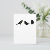 Carte Postale 3 petits oiseaux par erndub (Debout devant)