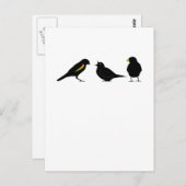 Carte Postale 3 petits oiseaux par erndub (Devant / Derrière)