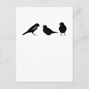 Carte Postale 3 petits oiseaux par erndub