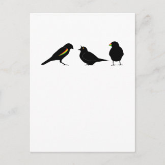 Carte Postale 3 petits oiseaux par erndub