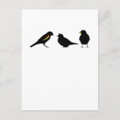 Carte Postale 3 petits oiseaux par erndub (Devant)