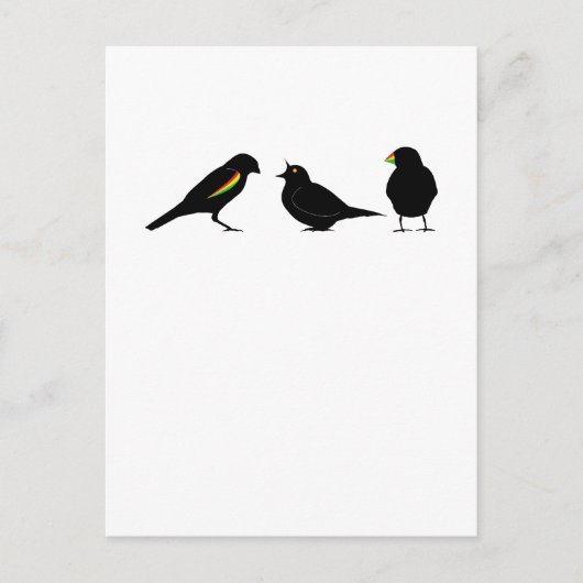 Carte Postale 3 petits oiseaux par erndub (Devant)