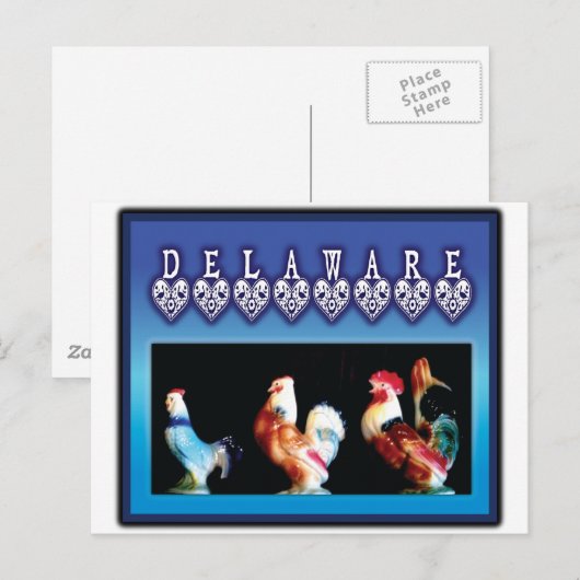 Carte Postale 3 poulets du Delaware (Devant / Derrière)