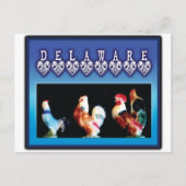 Carte Postale 3 poulets du Delaware (Devant)