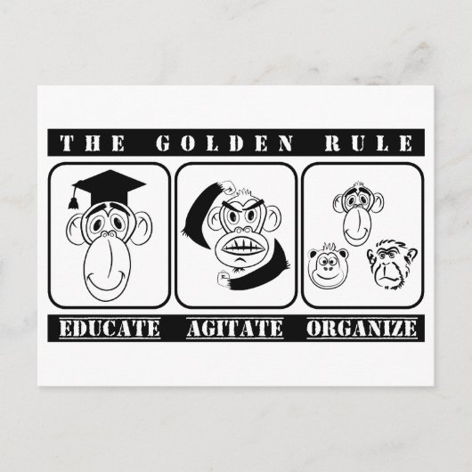 Carte Postale 3 singes éduquer agiter organiser (Devant)