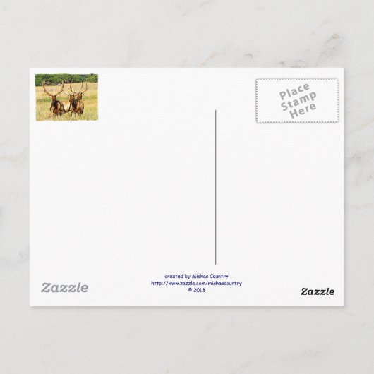 Carte Postale 3 taureaux (Elk) (Dos)