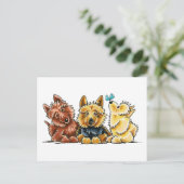 Carte Postale 3 Terriers australiens (Debout devant)