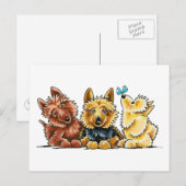 Carte Postale 3 Terriers australiens (Devant / Derrière)