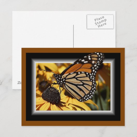 CARTE POSTALE 3D BUTTERFLY (Devant / Derrière)