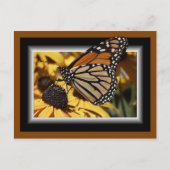 CARTE POSTALE 3D BUTTERFLY (Devant)