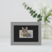 CARTE POSTALE 3D KITTY (Debout devant)