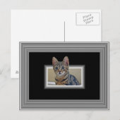 CARTE POSTALE 3D KITTY (Devant / Derrière)