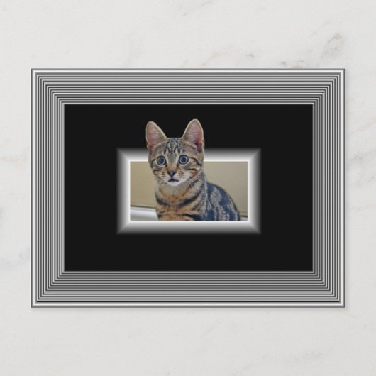 CARTE POSTALE 3D KITTY (Devant)