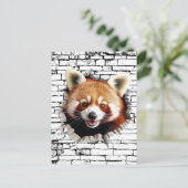 Carte Postale 3D Red Panda Wall Break Art – Realistic Safari (Debout devant)