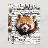 Carte Postale 3D Red Panda Wall Break Art – Realistic Safari (Devant / Derrière)