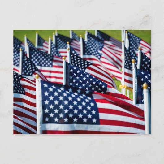 Carte Postale 400 drapeaux flottant fièrement dans un champ (Devant)