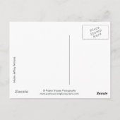 Carte Postale 41786a Hunk (Dos)