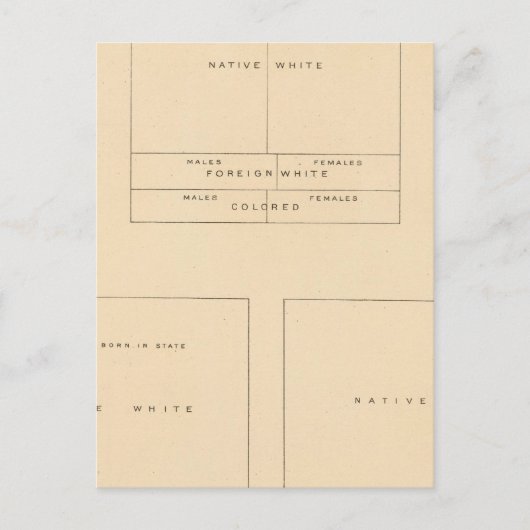 Carte Postale 41 Éléments de la population 1900 (Devant)