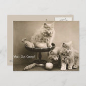 Carte Postale 44 Animaux (Devant / Derrière)