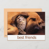 CARTE POSTALE 46 (Devant / Derrière)