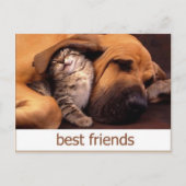 CARTE POSTALE 46 (Devant)