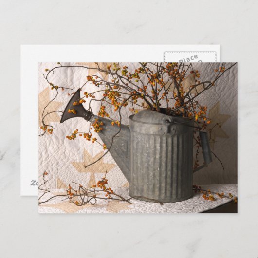 Carte Postale 4626 Bittersweet en Watering Can Postcard (Devant / Derrière)