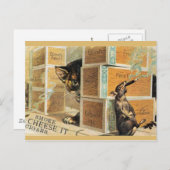 Carte Postale 46 Animaux (Devant / Derrière)