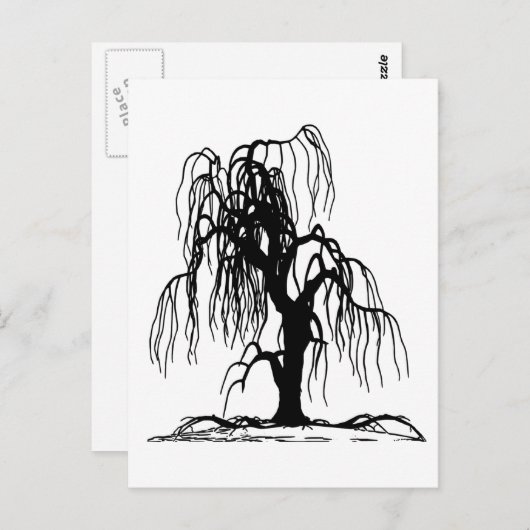 CARTE POSTALE 4920 SAULE PLEUREUR EFFRAYANT ARBRE SILHOUETTE NOI (Devant / Derrière)