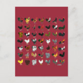 Carte Postale 49 Coq (Devant)