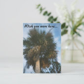 Carte Postale 4-11-2007-03, souhaitez que vous ayez été ici… (Debout devant)